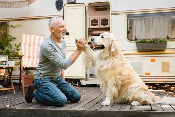 Assurance chien : pourquoi opter pour une mutuelle?